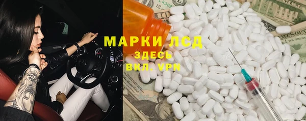 сатива Аркадак