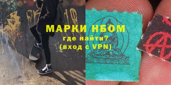 сатива Аркадак