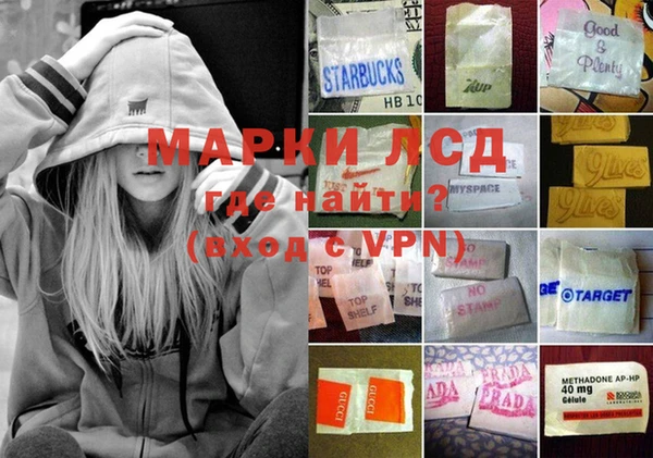 сатива Аркадак