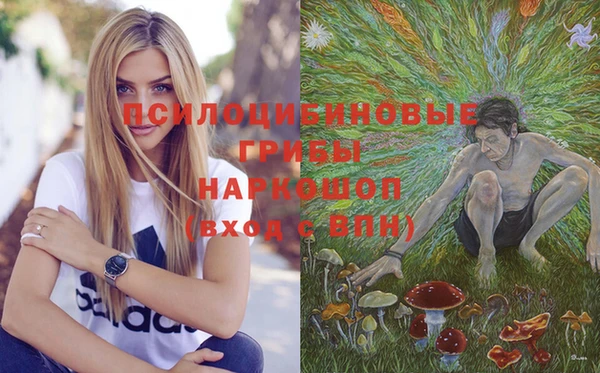 молекула духа Армянск