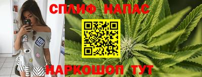 дурь Заводоуковск