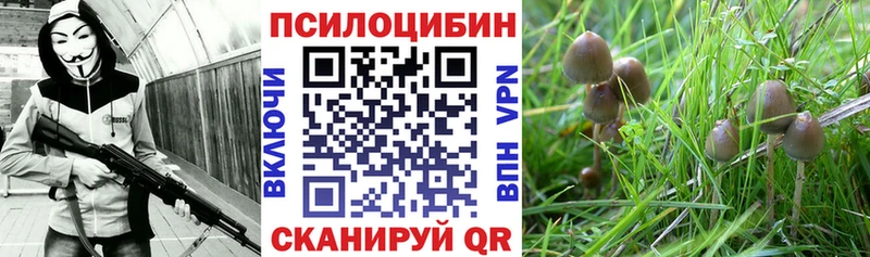 хочу   Нижний Тагил  Галлюциногенные грибы мицелий 