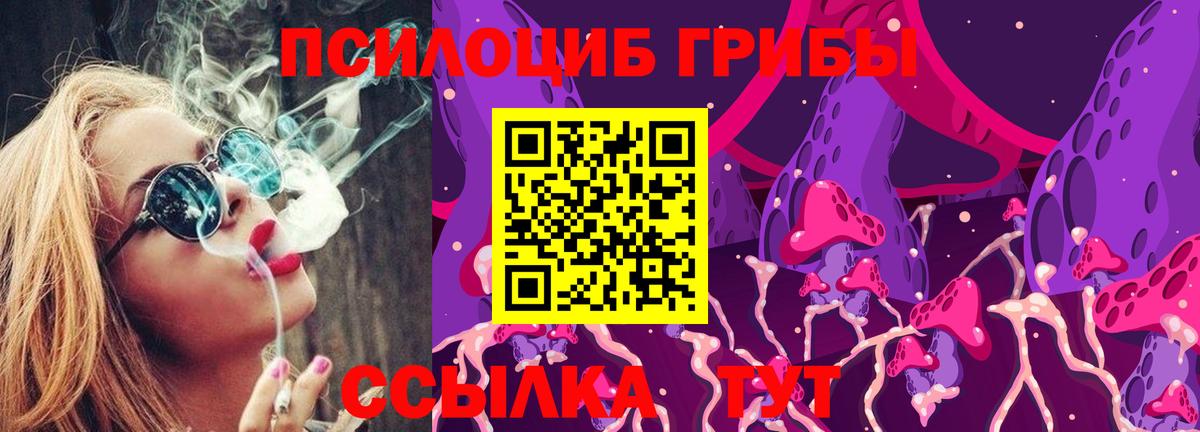 Нижний Тагил  Псилоцибиновые грибы прущие грибы  Вход с VPN  Галлюциногенные грибы Psilocybine cubensis 