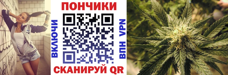 где купить   Нижний Тагил  Бошки Шишки марихуана 